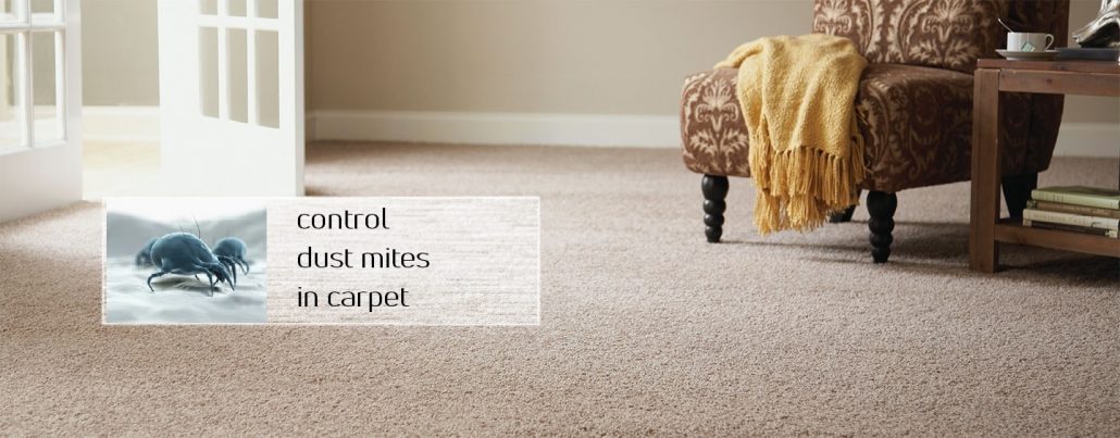 Control the dust mites in the carpet