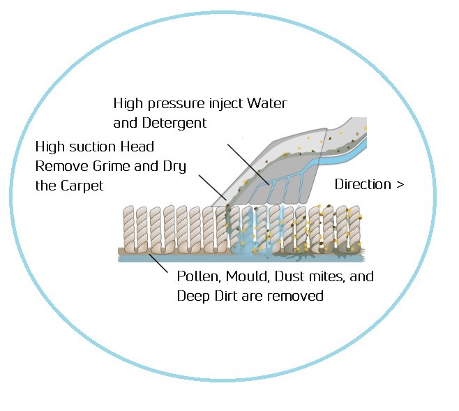 Steam carpet cleaning services for office and commercial