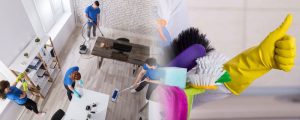 Professional house cleaning tips from NoStains