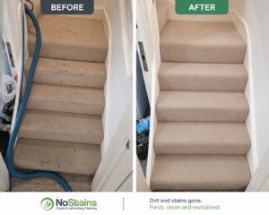 nostains carpet cleaning